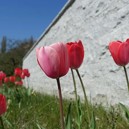 Suessenmuehle Naturstrand