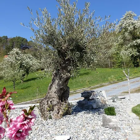 Suessenmuehle Naturstrand *