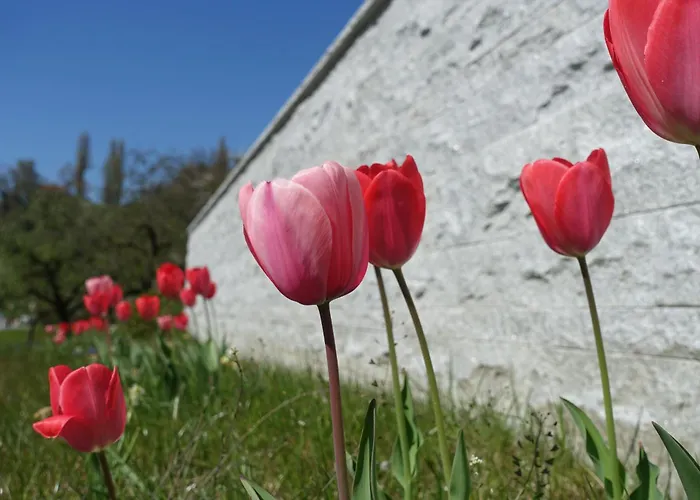 Süßenmühle Naturstrand