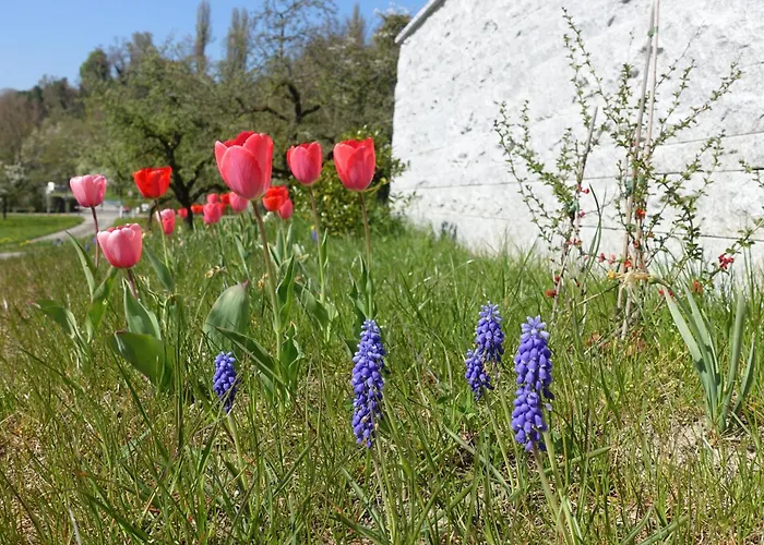 Apartment Süßenmühle Naturstrand