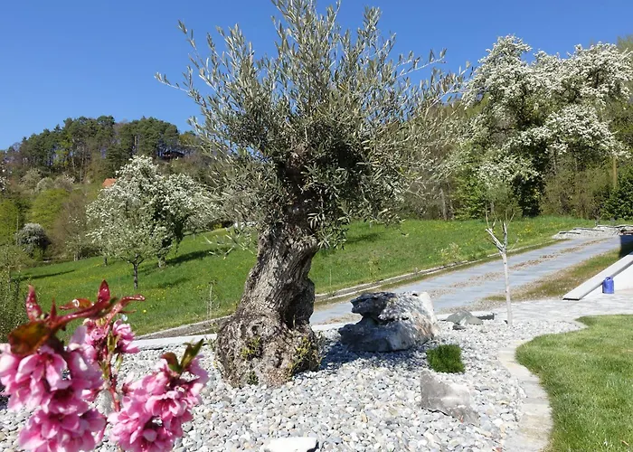 Süßenmühle Naturstrand *